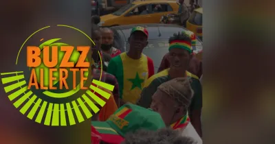 finale-can-2021-senegal-egypte-grosse-colere-des-supporters-des-lions-du-senegal