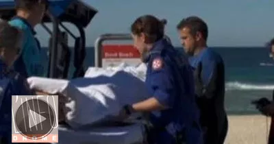 un-surfeur-assomme-par-une-baleine