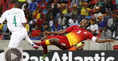 can-2013-niger-0-3-ghana