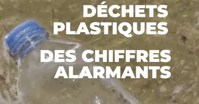 dechets-plastiques-des-chiffres-alarmants