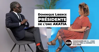 conservation-des-chimpanzes-en-cote-d-ivoire-l-ong-akatia-tire-la-sonnette-d-alarme