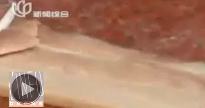 canicule-un-steak-cuit-a-meme-le-sol