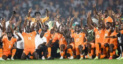 des-larmes-a-la-joie-la-resurrection-des-elephants-dans-cette-can