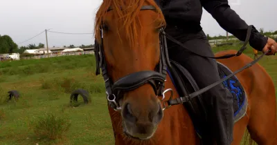 tout-savoir-sur-l-equitation