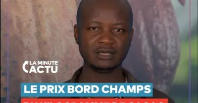 le-prix-bord-champ-du-cacao-passe-de-1000-a-1500-fca-en-cote-d-ivoire