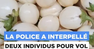 gardez-toujours-un-oeil-sur-vos-aubergines-sinon-elles-pourraient-disparaitre-emportees-par-des-inconnus