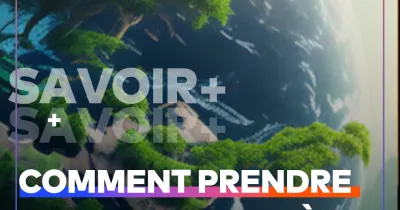 journee-mondiale-de-l-environnement-voici-3-regles-a-faire-pour-maintenir-son-cadre-propre