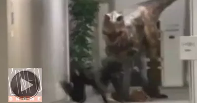 un-dinosaure-poursuit-un-malheureux-japonais