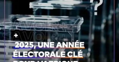 2025-est-une-annee-electorale-cle-pour-l-afrique-avec-des-elections-dans-pres-de-10-pays