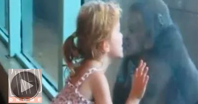 une-belle-rencontre-entre-un-singe-et-une-petite-fille