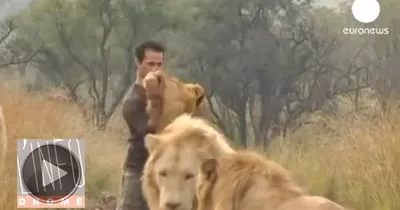 calins-avec-les-lions-no-comment