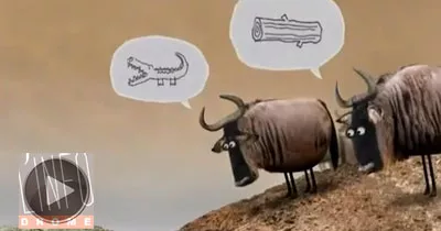 ne-jamais-debattre-avec-un-ignorant