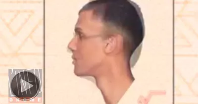 formidable-de-stromae-repris-par-hollande-sarkozy-ayrault-et-tous-les-autres