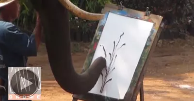 un-elephant-peintre