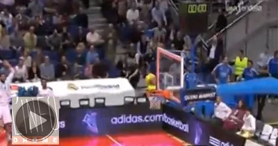 basket-un-panier-completement-fou