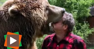 drole-de-jeu-avec-un-ours