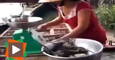 cette-dame-prepare-des-souris-vivantes-pour-le-diner