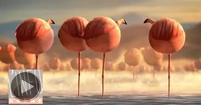 bande-annonce-officielle-du-fmx-2013-festival-du-film-d-animation-de-stuttgard