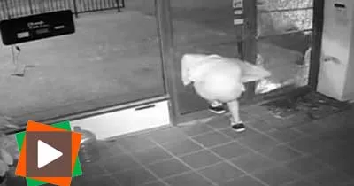 un-cambrioleur-stupide