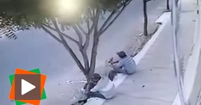 assis-sur-un-trottoir-ils-frolent-la-mort-de-tres-pres