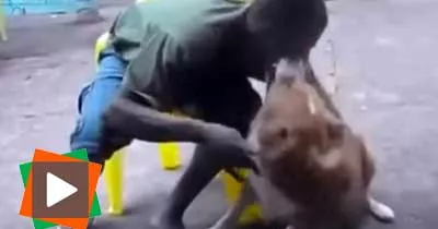 decouvrez-ce-qu-il-arrive-quand-on-embete-trop-un-chien