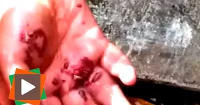 un-gendarme-jette-une-grenade-sur-une-jeune-militante