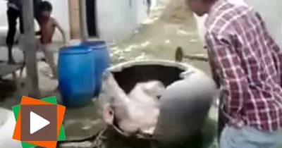 decouvrez-le-mystere-de-cette-jarre