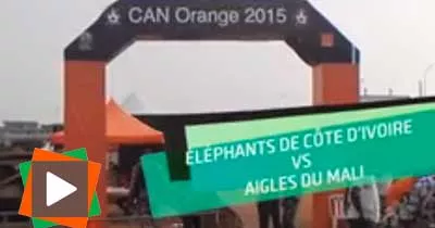 can-2015-elephants-voici-votre-remede-pour-battre-le-cameroun