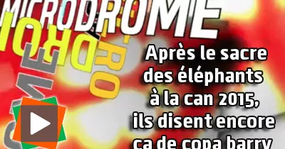 apres-le-sacre-des-elephants-ils-disent-encore-ca-de-copa-barry