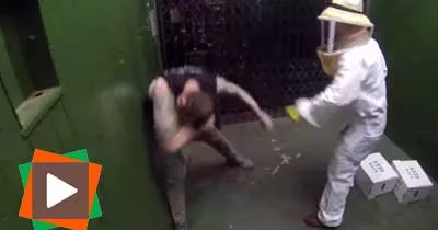 bloque-dans-un-ascenseur-avec-des-centaines-d-abeilles