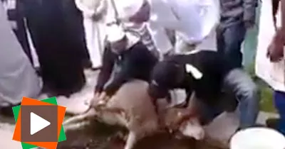 affaire-de-tabaski-a-regarder-jusqu-a-la-fin-pour-comprendre